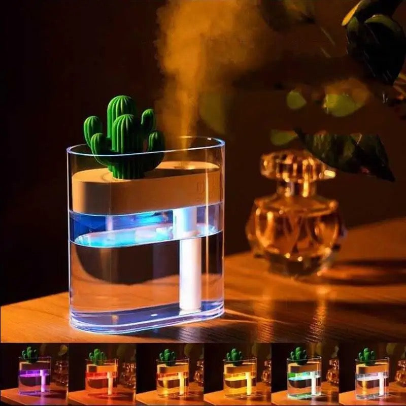 Clear Cactus Humidifier