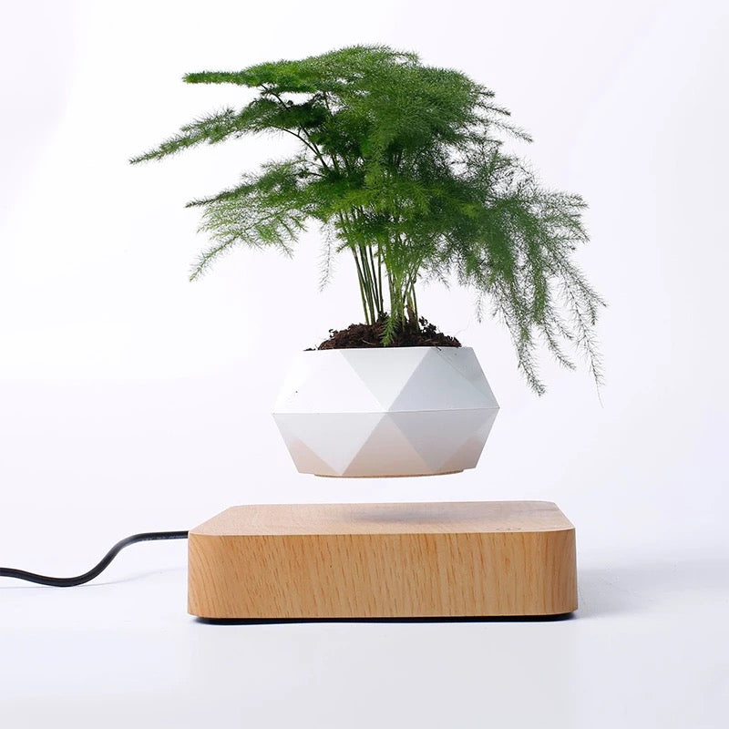 Air Levitation Bonsai Pot