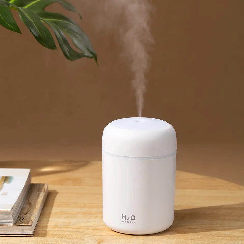 Mini Air Humidifier