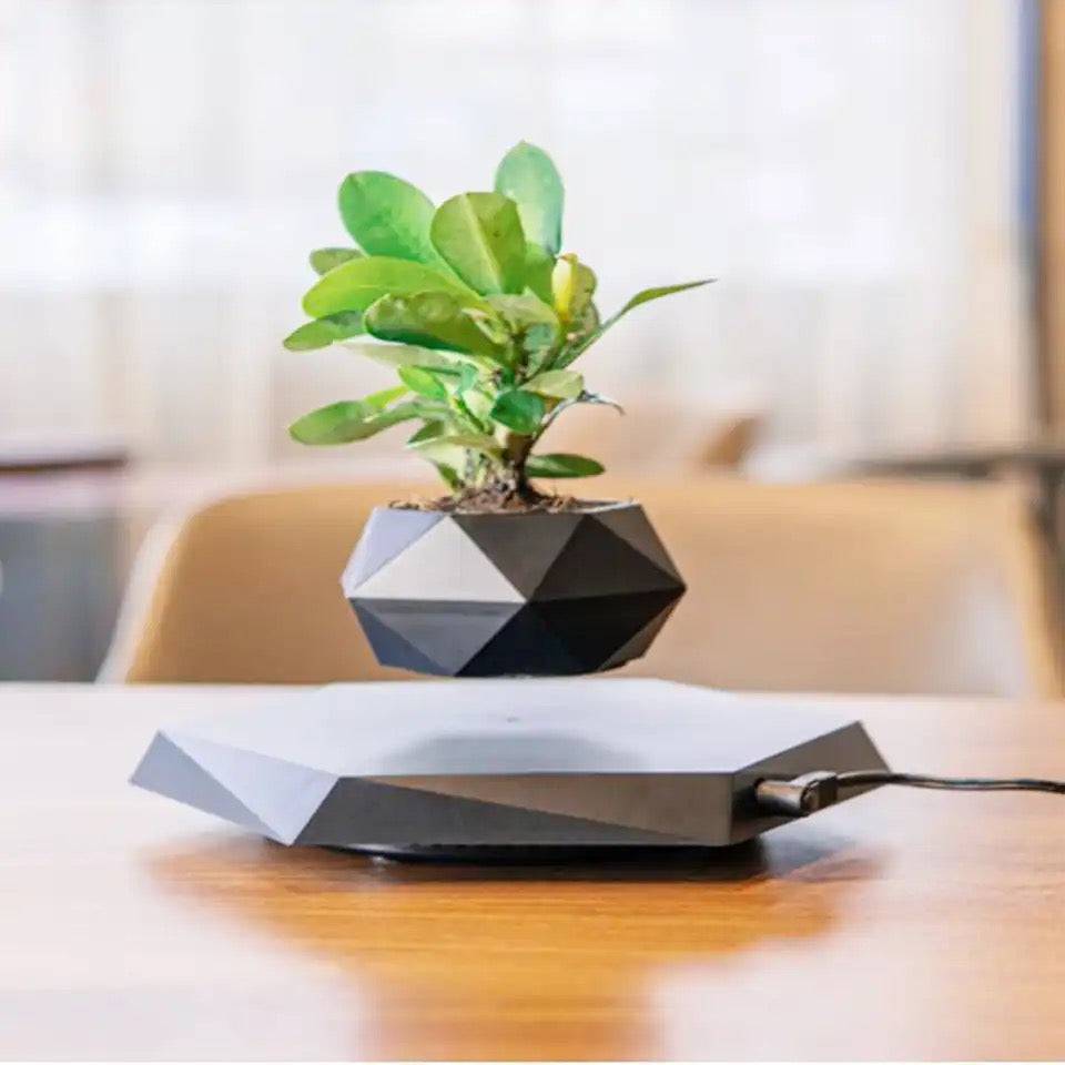 Air Levitation Bonsai Pot