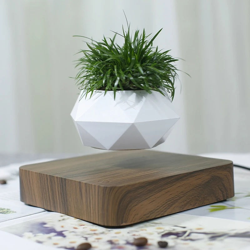 Levitating Air Bonsai Pot Rotation Flower Pot Planters Home Decor