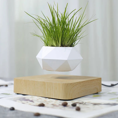 Levitating Air Bonsai Pot Rotation Flower Pot Planters Home Decor