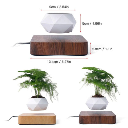 Air Levitation Bonsai Pot