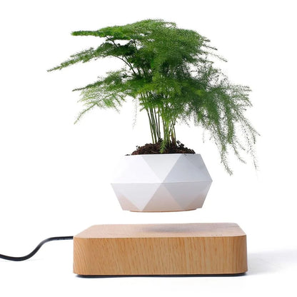 Air Levitation Bonsai Pot